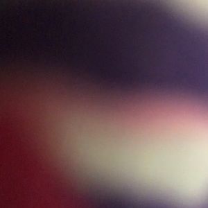 Meet your Posher, Laila